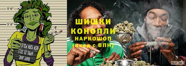 2c-b Краснослободск