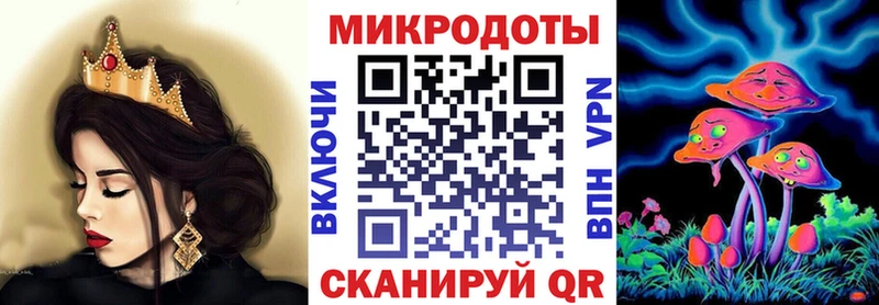 Галлюциногенные грибы Psilocybine cubensis  блэк спрут сайт  Чадан  купить наркотик 